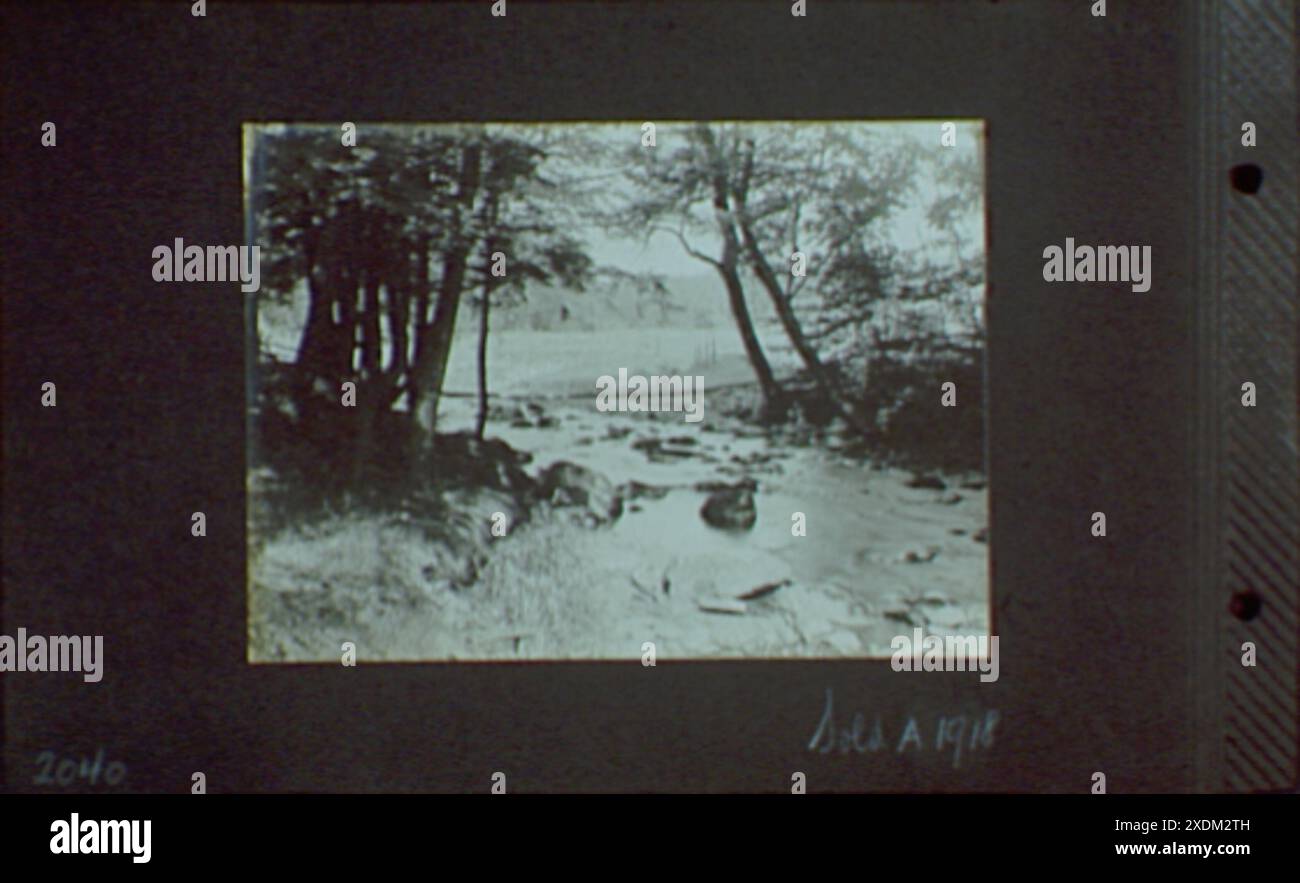 1917-1918, Referenzdrucke von Negativen. Stream fließt durch Bäume in Feld, horizontal, Referenzausdrucke von Negativen. Strom fließt durch Bäume ins Feld, waagerecht. Gottscho-Schleisner Kollektion Stockfoto