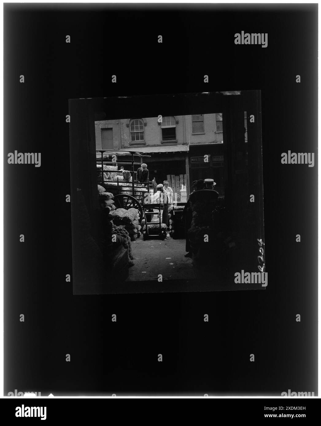 Blick auf New York City. Großhandelsmarkt in Lower Manhattan. Gottscho-Schleisner Kollektion Stockfoto