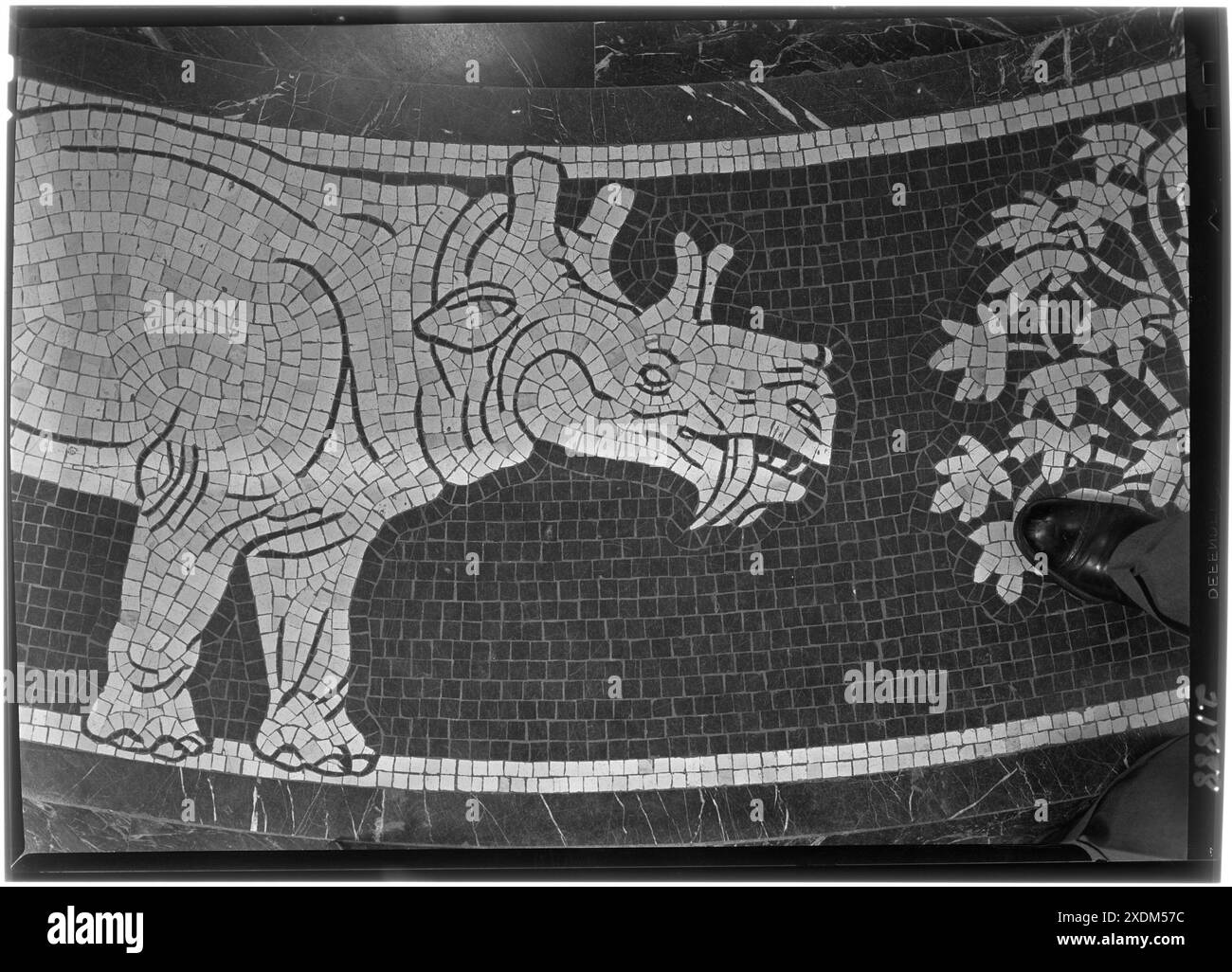 Nebraska State Capitol, Lincoln, Nebraska. Rotunda-Boden, Mosaikdetails. Gottscho-Schleisner Kollektion Stockfoto