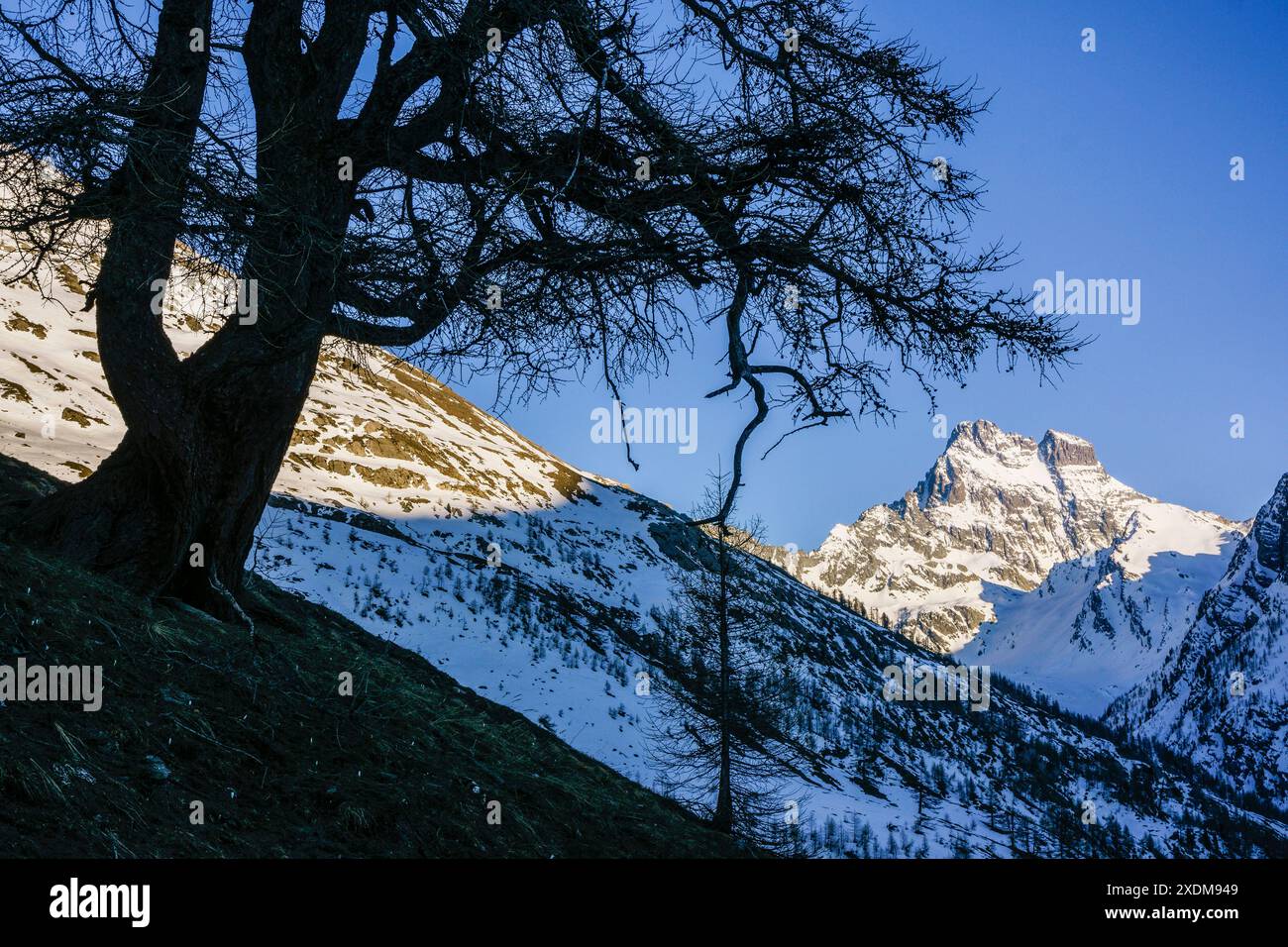 Monte Viso, 3841 m, Guiltal, Alpen, Naturpark Queyras, Frankreich-Italien, Europa. Stockfoto