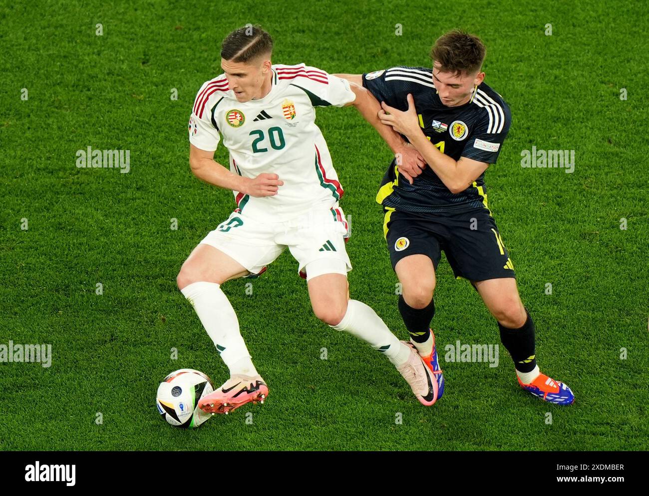 Der ungarische Bendeguz Bolla (links) und der schottische Billy Gilmour kämpfen um den Ball während des Gruppenspiels der UEFA Euro 2024 in der Stuttgarter Arena. Bilddatum: Sonntag, 23. Juni 2024. Stockfoto