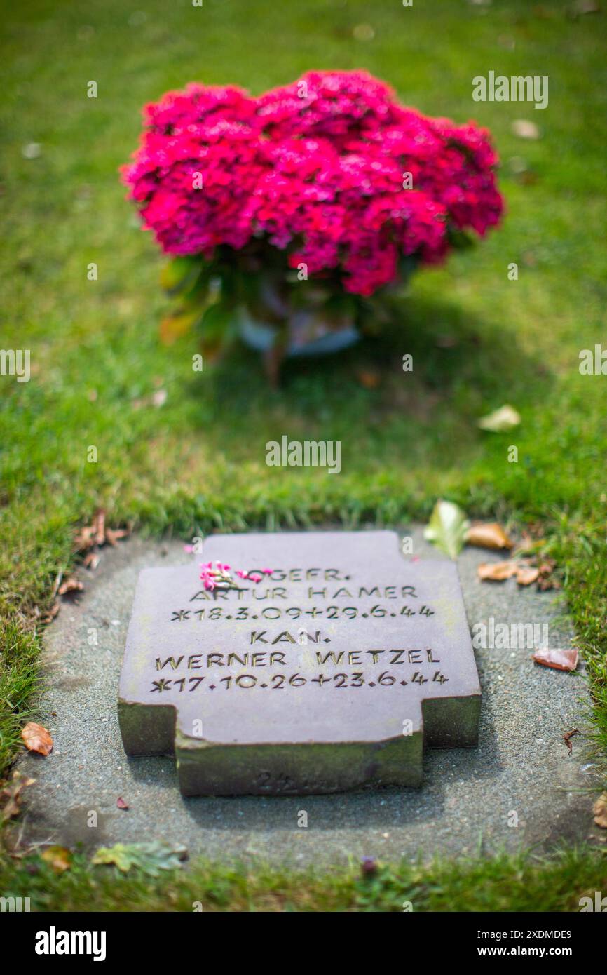 Grab von Soldaten auf einem deutschen Militärfriedhof in der Normandie, Frankreich, geschmückt mit einem Blumenstrauß aus roten Blumen. Eine feierliche Erinnerung an die Geschichte. Stockfoto