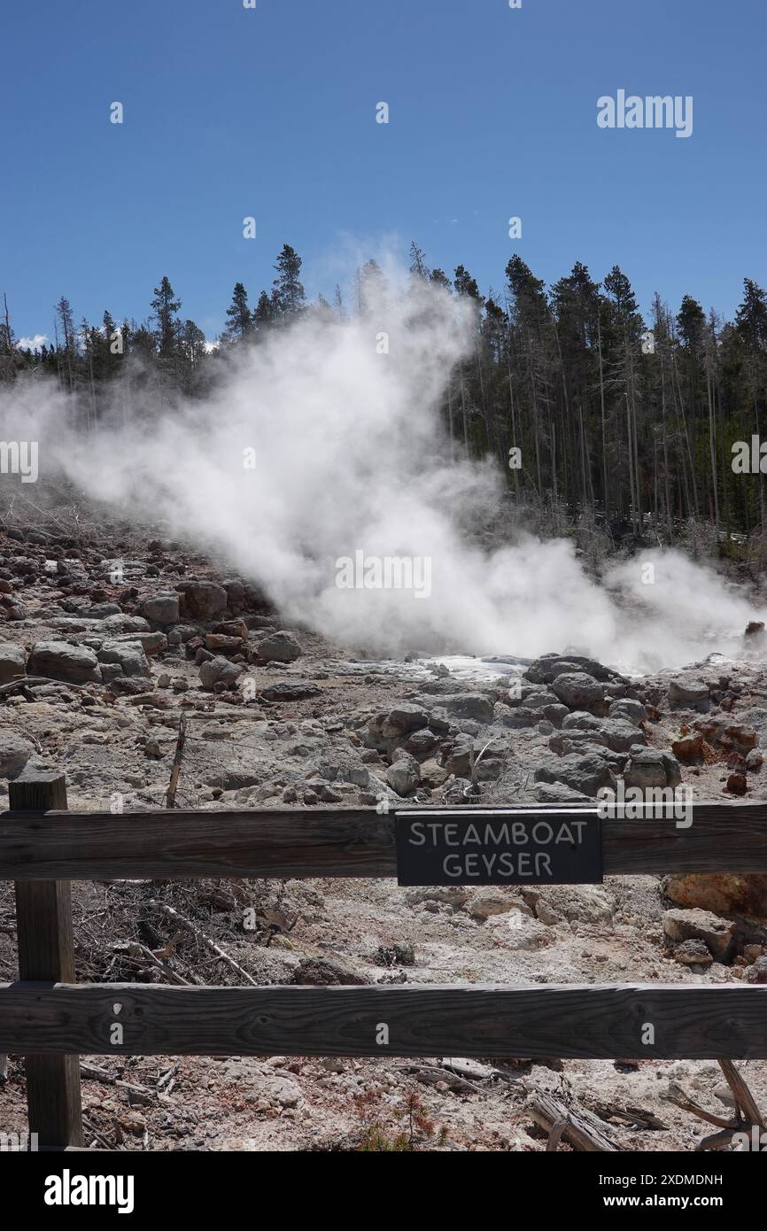 Steamboat Geysir im Norris Geysir Basin, Yellowstone National Park, Wyoming, USA Stockfoto