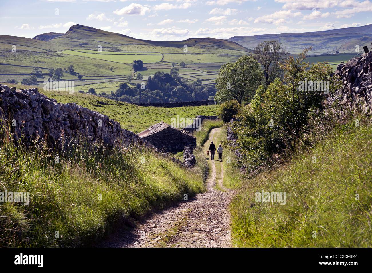 Pennine Bridleway, Stainforth, Ribblesdale, Yorkshire Dales National Park Stockfoto