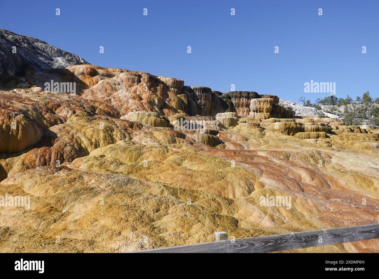 Mammoth Thermalquellen Travertinterrassen. Yellowstone-Nationalpark, Wyoming, USA Stockfoto