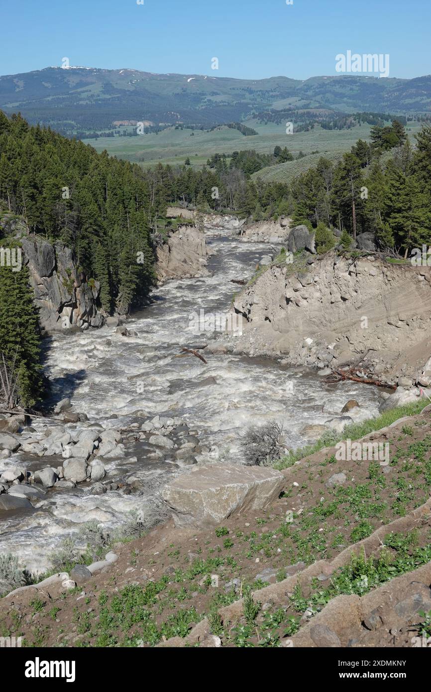 Der Lamar River im Yellowstone NP Stockfoto