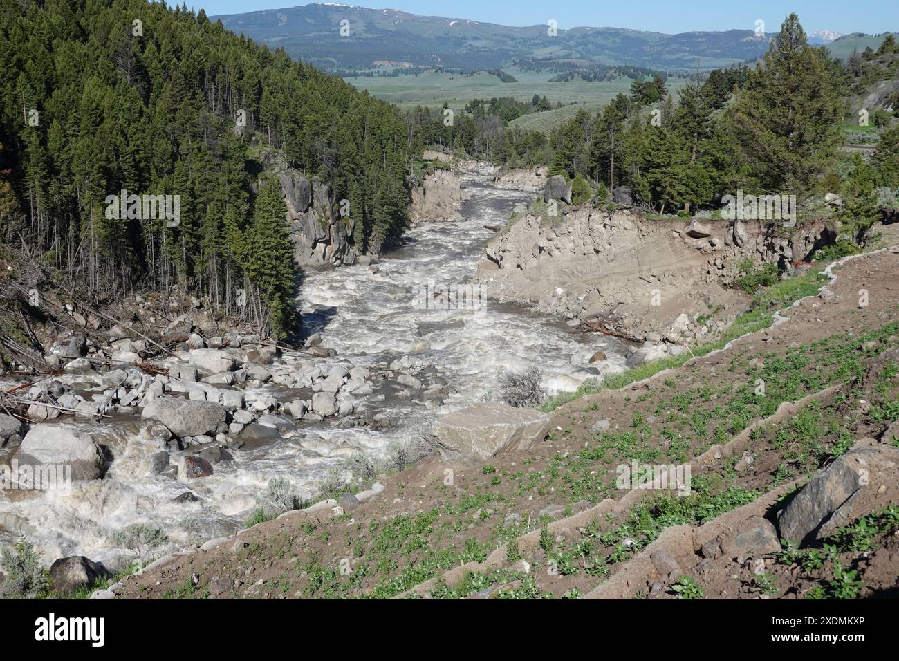 Der Lamar River im Yellowstone NP Stockfoto
