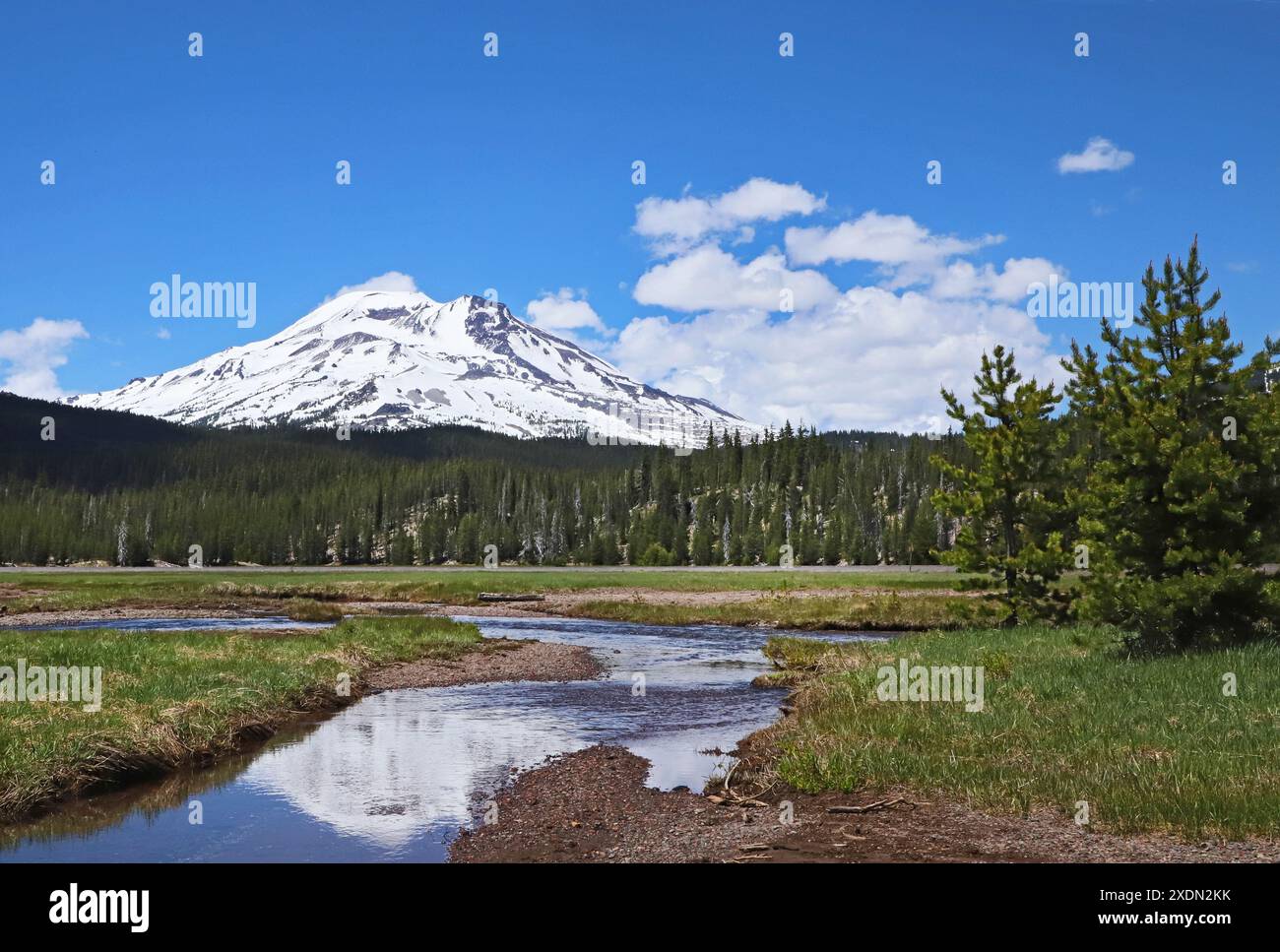 South Sisters Peak, ein ruhender Vulkan in der Three Sisters Wilderness im Deschutes National Forest in Oregon vom Cascade Lakes Highway. Stockfoto