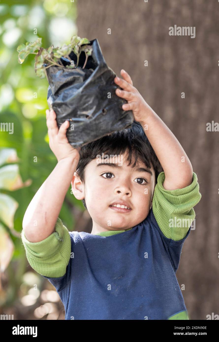 Der 3-jährige Junge trägt eine Pflanze zu Pflanzen Stockfoto