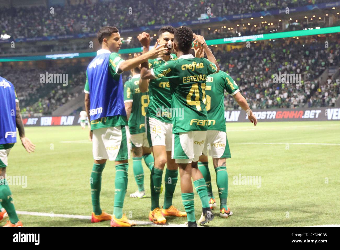 Sao Paulo, Sao Paulo, Brasilien. Juni 2024. Sao Paulo (SP), 23/2024 - BRASILEIRO/PALMEIRAS 2024, im Allianz Parque, in der Stadt Sao Paulo-SP. (Kreditbild: © Leco Viana/TheNEWS2 via ZUMA Press Wire) NUR REDAKTIONELLE VERWENDUNG! Nicht für kommerzielle ZWECKE! Stockfoto