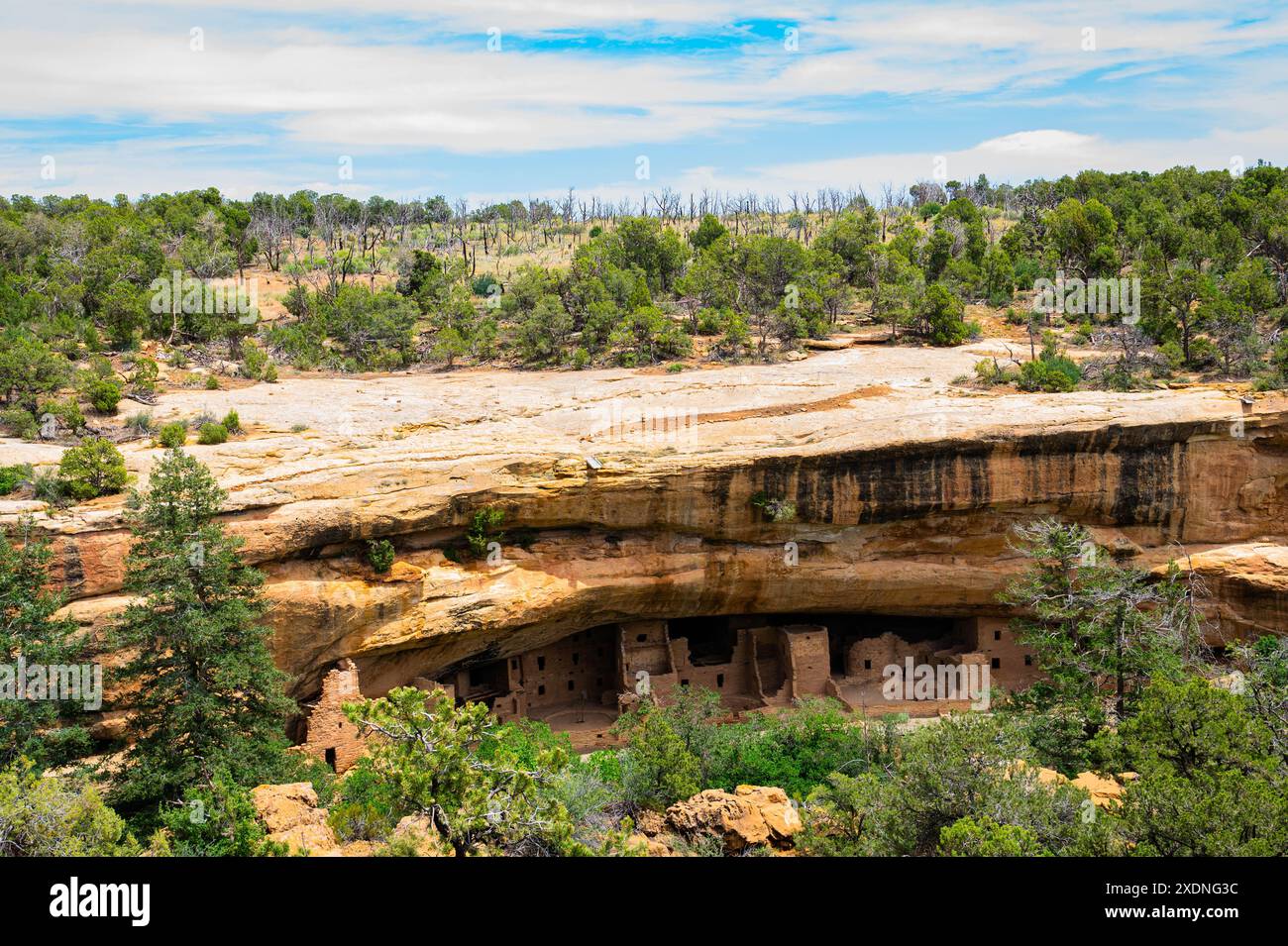 Mesa Verde Nationalpark Stockfoto