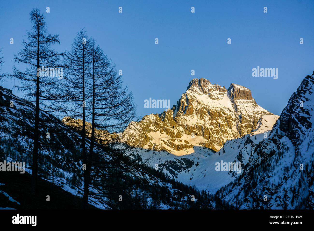 Monte Viso, 3841 m, Guiltal, Alpen, Naturpark Queyras, Frankreich-Italien, Europa. Stockfoto