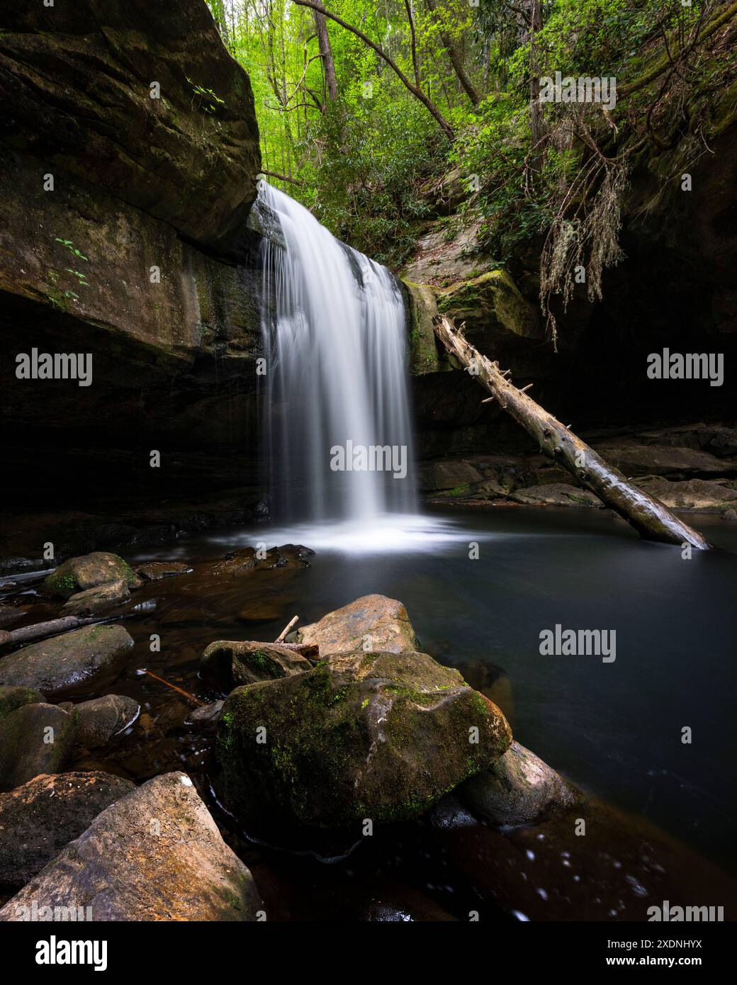 Dog Slaughter Falls in Kentucky Stockfoto