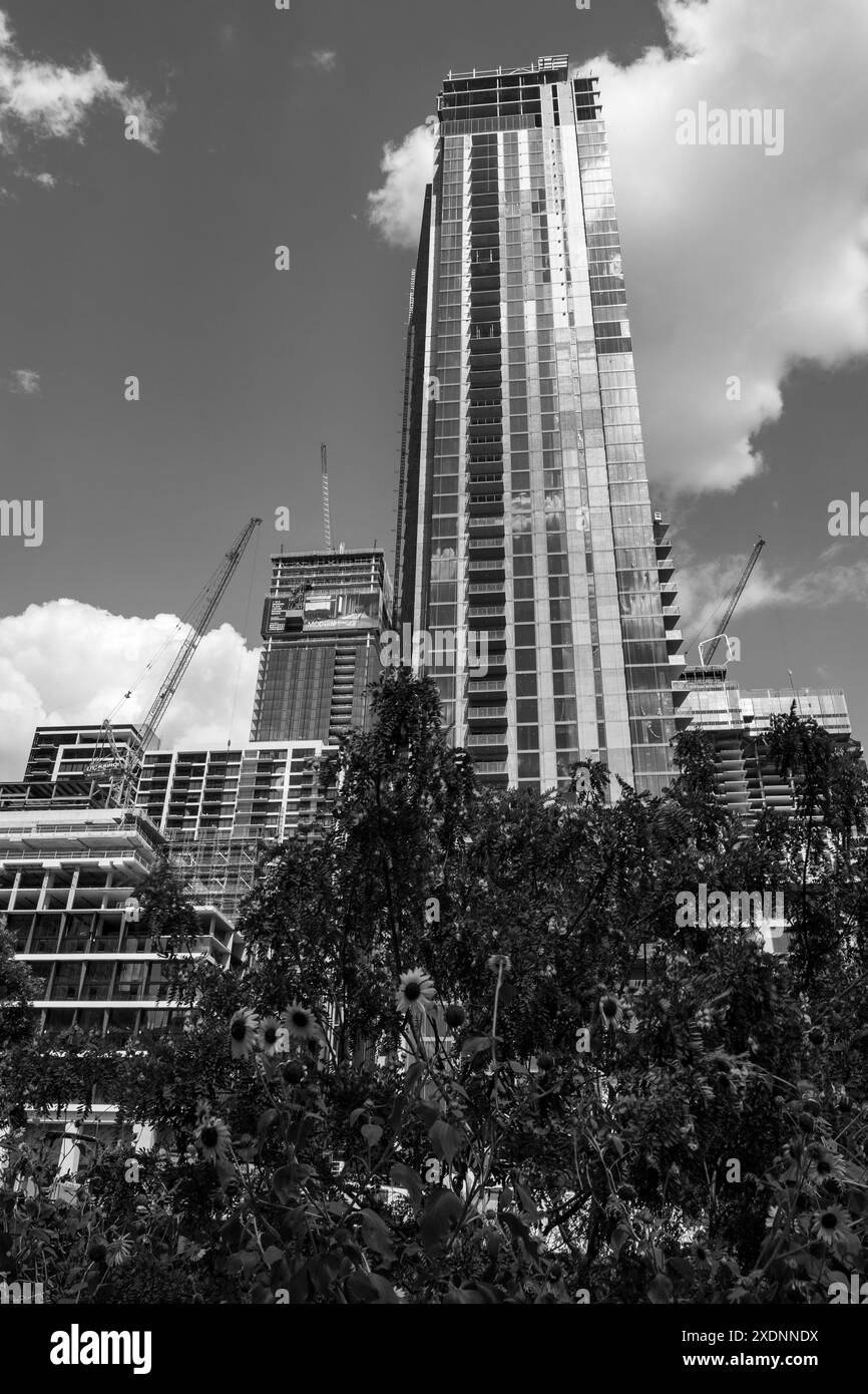 Das Schwarzweißbild zeigt hohe Gebäude und Wolkenkratzer im Bau in Austin Texas. Stockfoto