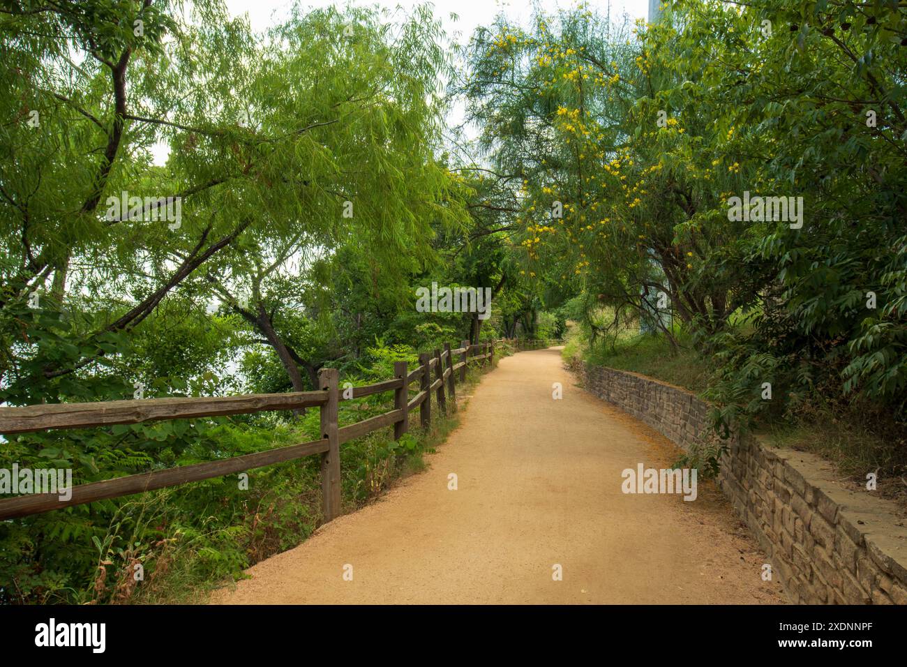 Ann and Roy Butler Trail entlang des Lady Bird Lake in Austin, Texas. Der Wander- und Radweg kann das ganze Jahr über genossen werden. Stockfoto