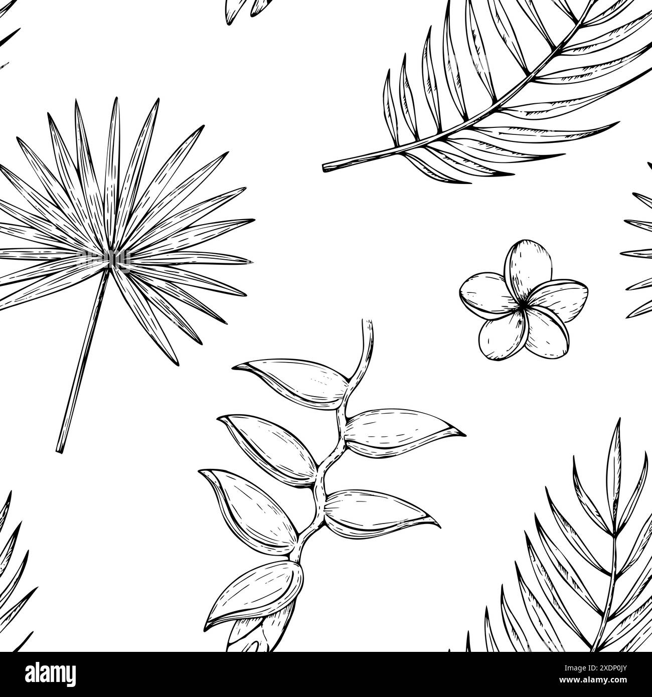 Tropische Vektor nahtlose Muster mit Palmblättern, Helikonia, Paradiesvogel oder Strelitzia reginae Blumen Illustrationen auf isoliertem Hintergrund Stock Vektor