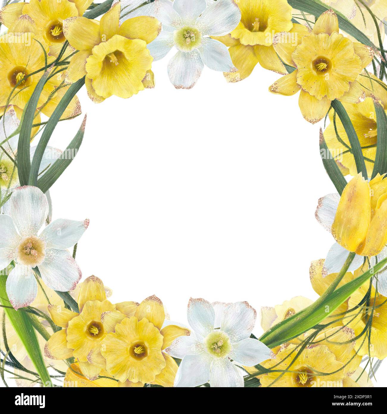 Der runde Blumenrahmen mit gelben und weißen Blüten, ideal für Frühling und Sommer, verleiht natürliche Schönheit. Isoliertes Objekt auf weißem Hintergrund für die Gestaltung einer Broschüre, eines Flyers, eines E-Pakets, eines Etiketts oder einer Werbung. Digitale Kunst. Stockfoto