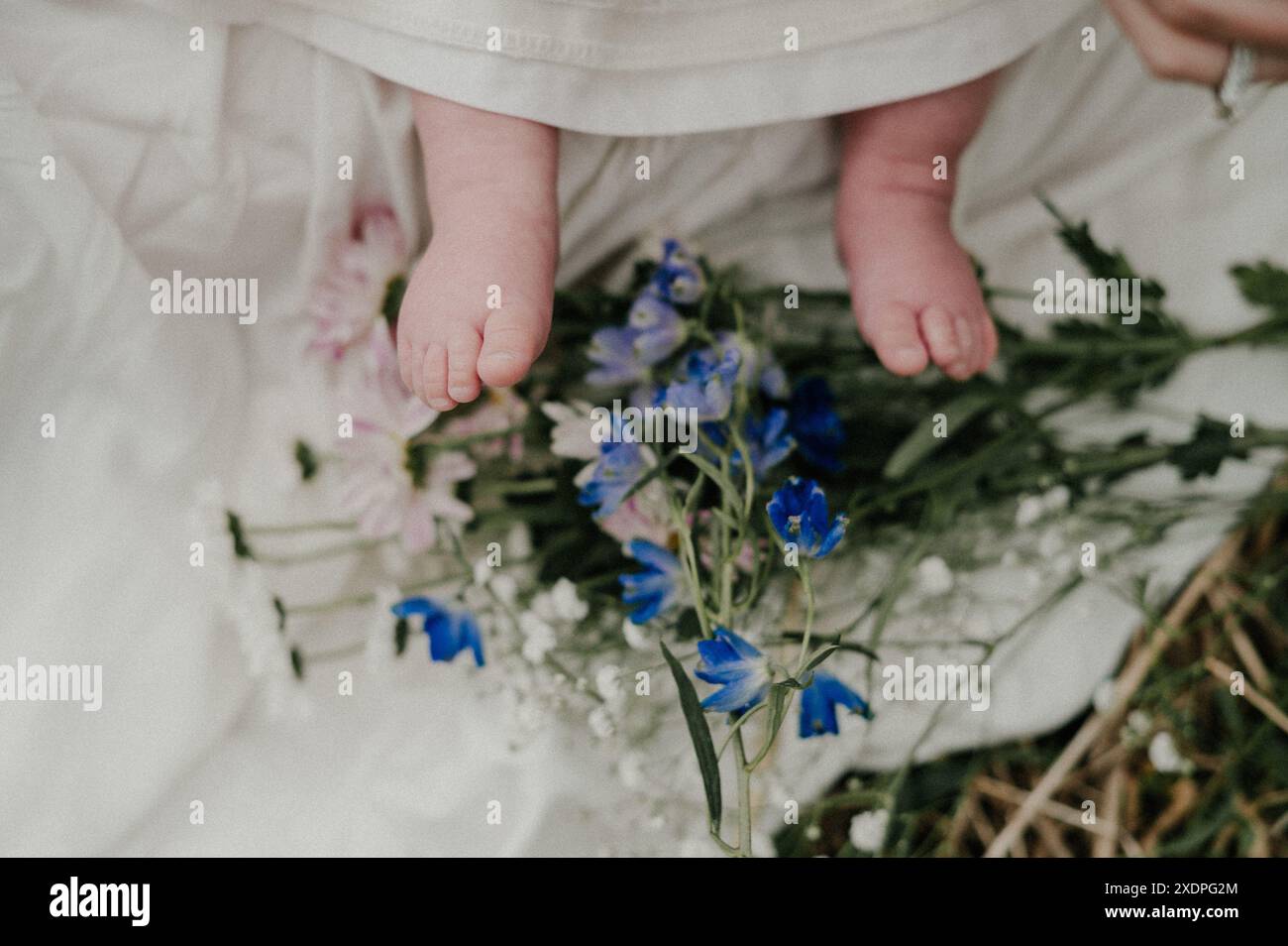 Babyfüße auf Blumen mit weißem Deckenhintergrund. Stockfoto