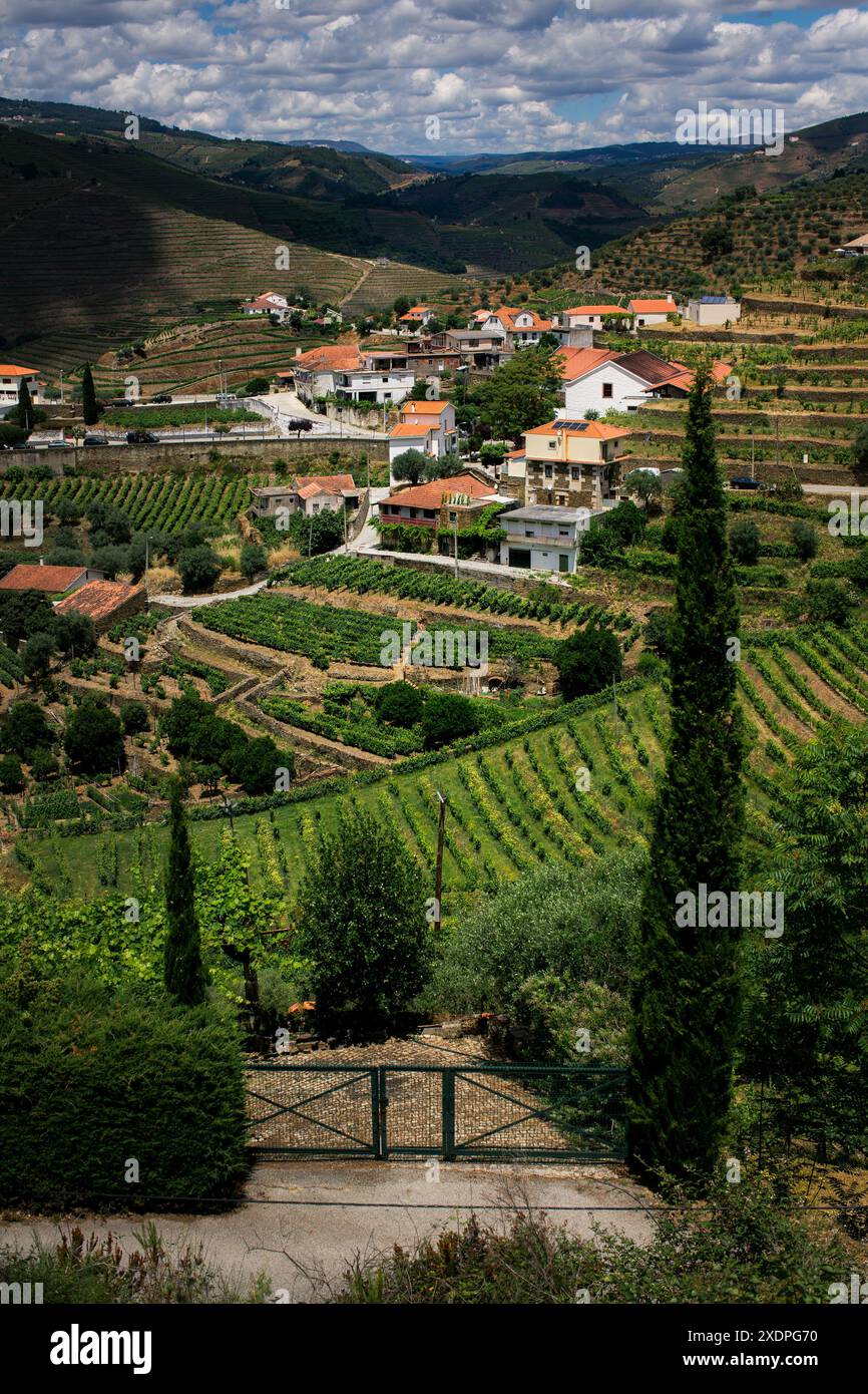 Eingebettet zwischen den üppigen Weinbergen des Douro-Tals in Portugal, liegt ein malerisches Dorf mit seinen charmanten Häusern. Stockfoto