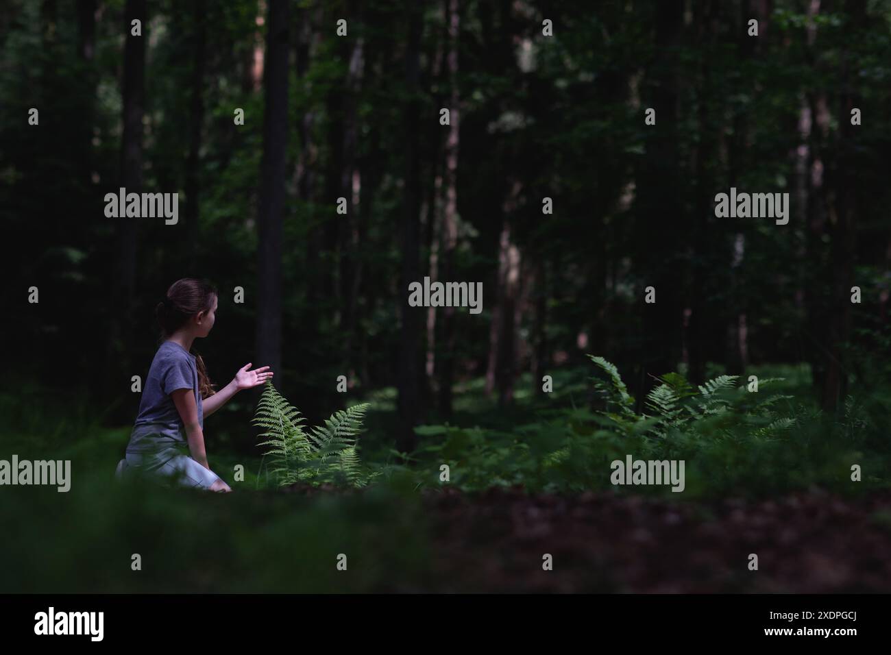 Mädchen im Wald berührt Farnblätter Stockfoto