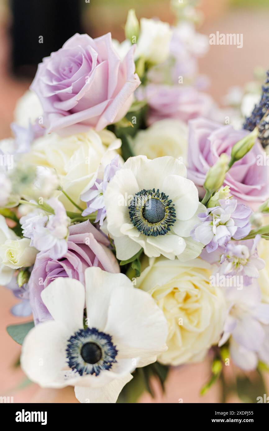 Nahaufnahme eines Blumenstraußes mit Lavendelrosen, weißen Anemonen, Grün Stockfoto