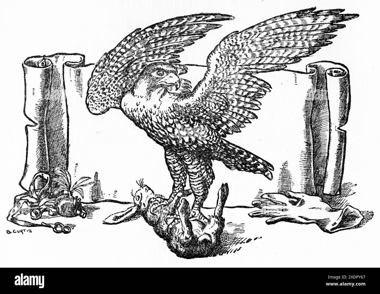 Eine generische Gravur eines mittelalterlichen Jagdfalken als Symbol des Königs mit einer leeren, textgerechten Schriftrolle Stockfoto