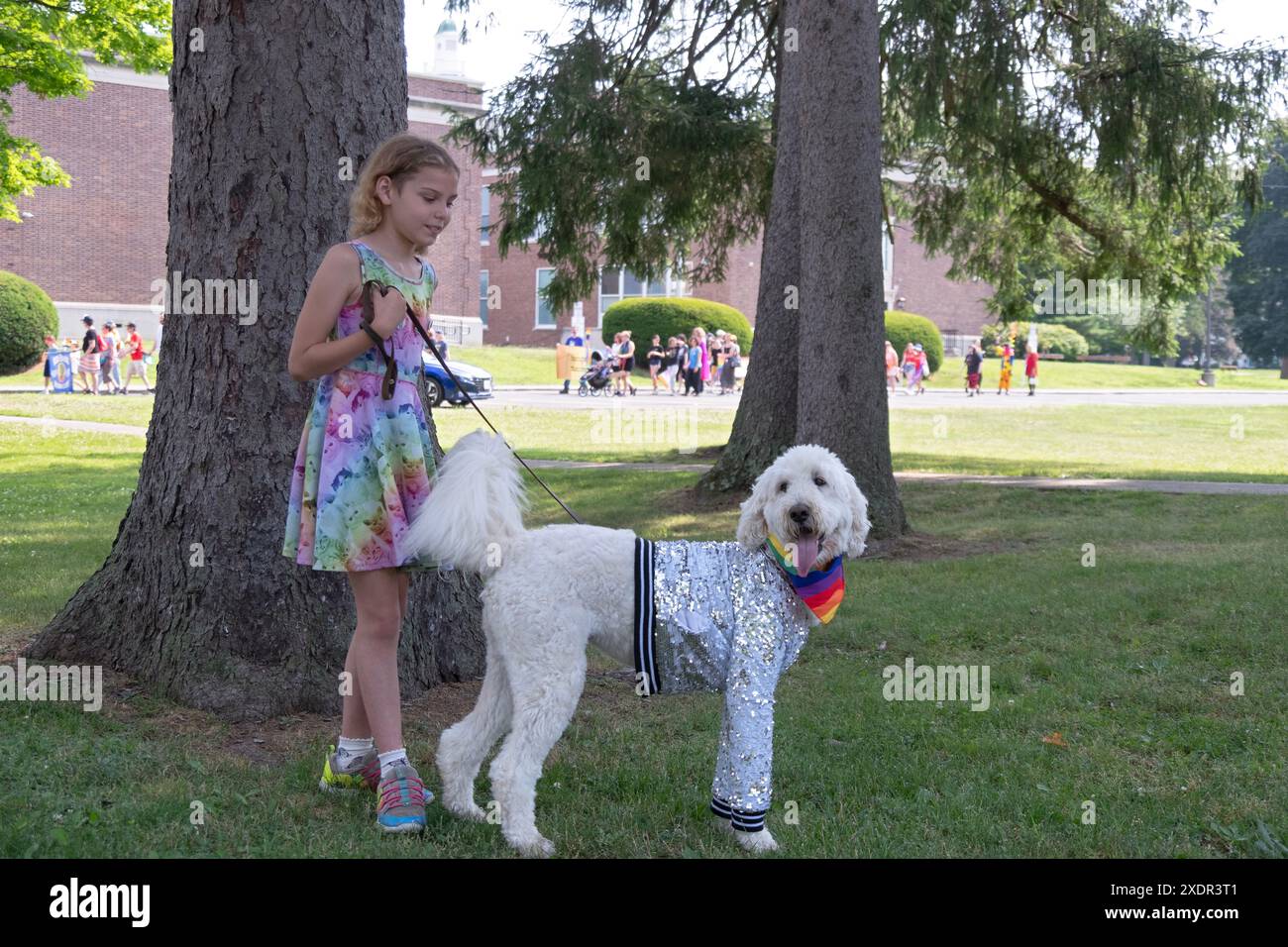 Ein weißer Standard Poodle kleidet sich für die Red Hook Pride Parade 2024 im Dutchess County, New York. Stockfoto