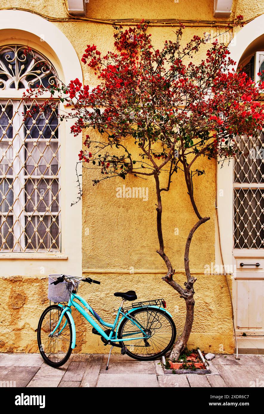 Türkisfarbenes Fahrrad, das an einer gelben Wand mit einem roten Bougainvillea-Baum sitzt, Nafplio-Stadt, Pelopones, Griechenland, griechische Inseln, Europa Stockfoto