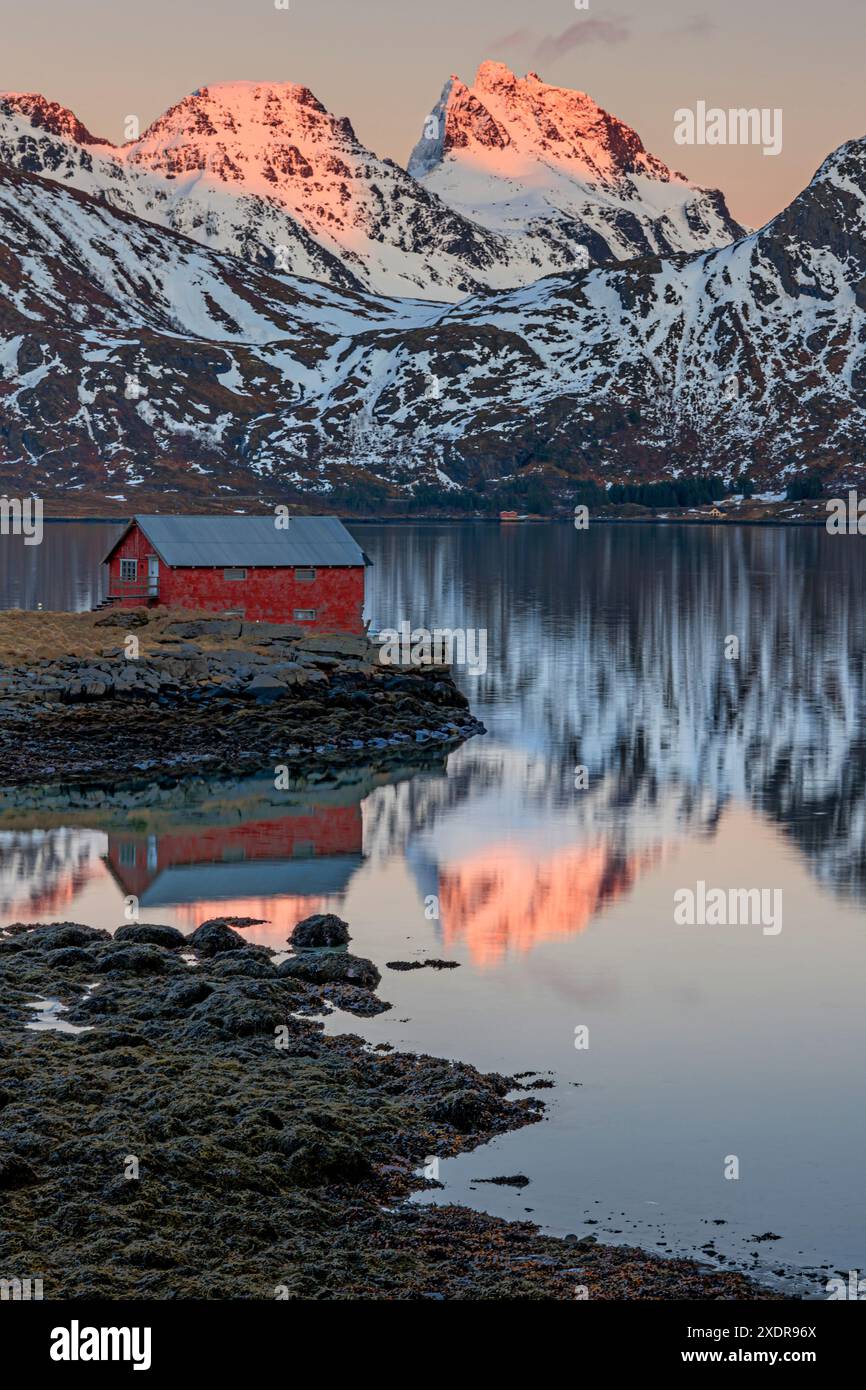Spiegelbild der Berge und eines roten Hauses in einem Fjord bei Sonnenuntergang, Abendlicht, Winter, Moskenesoya, Lofoten, Norwegen, Europa Stockfoto