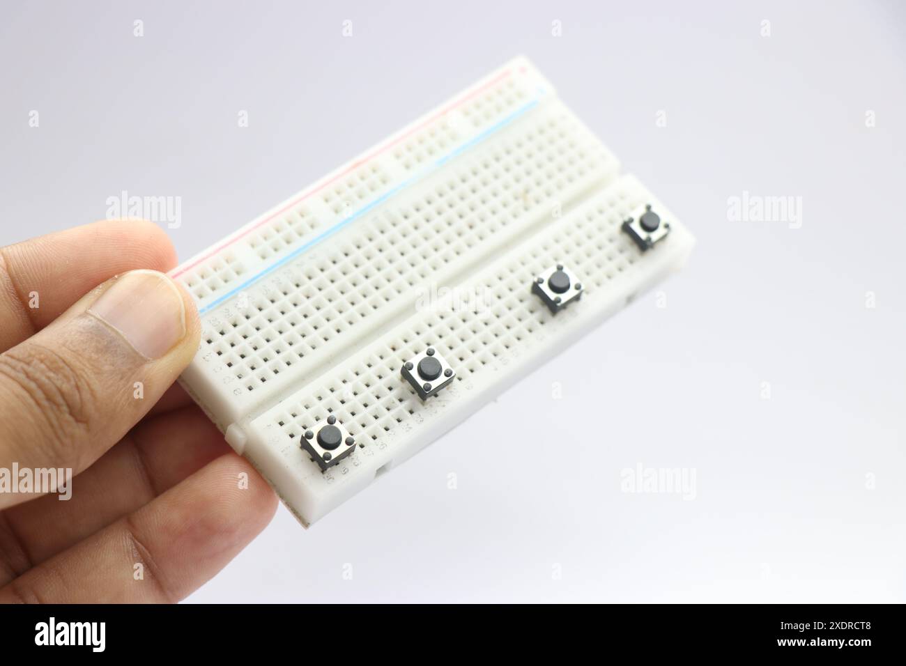 An eine Steckplatine angeschlossene Drucktasten. Elektronisches Prototypenkonzept mit Schalter und Breadboard Stockfoto