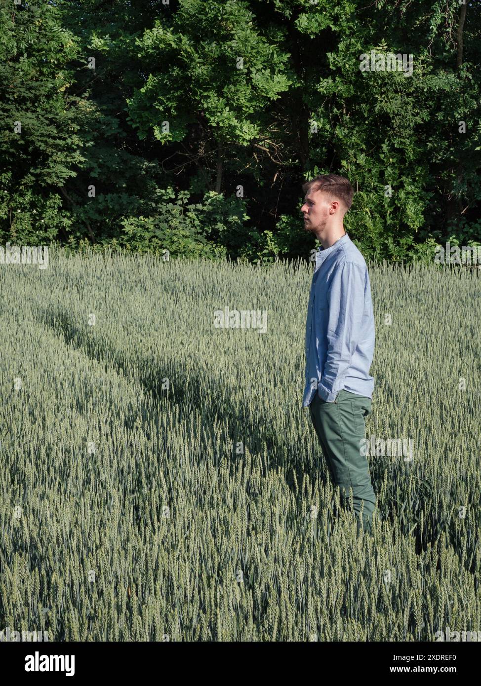 Porträt eines jungen Mannes im grünen ukrainischen Feld. Vertikale Seitenansicht. Stockfoto