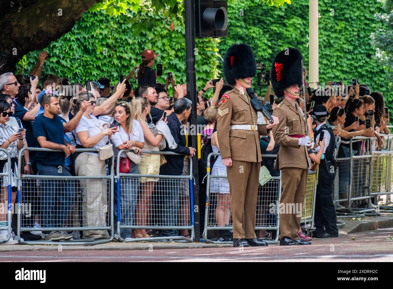London, Großbritannien. Juni 2024. Eine Probe bei Tageslicht für die feierliche Begrüßung des japanischen Staatsbesuchs, der am Dienstag, den 25. Juni stattfindet. Berittene Truppen der Household Cavalry, der Foot Guards und der Bands der Household Division Proben ihre Manöver auf der Mall, im Buckingham Palace und auf der Horse Guards Parade. Guy Bell/Alamy Live News Stockfoto