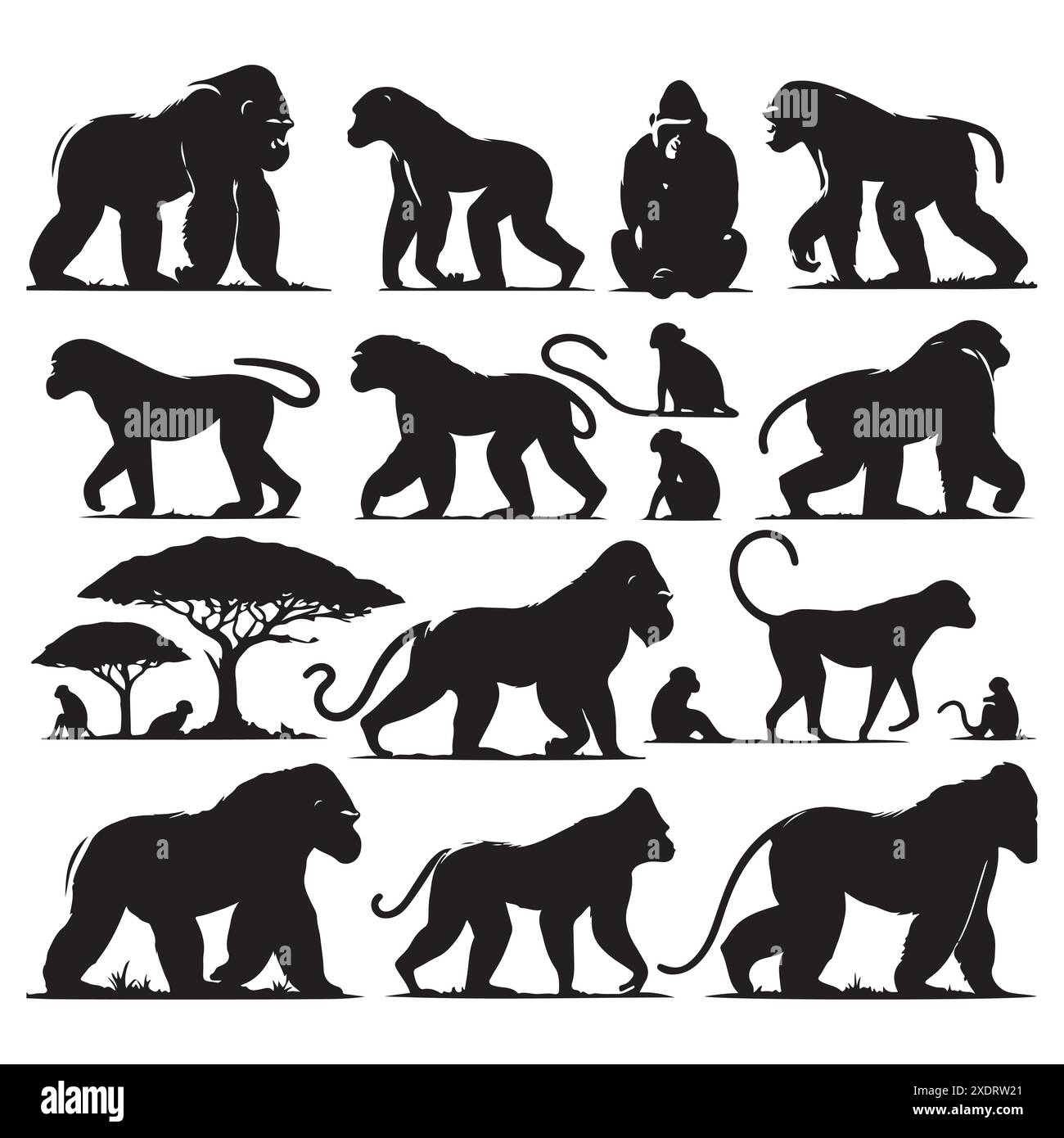 Silhouette Set von Affentieren. Vektor-isolierte Abbildung Stock Vektor