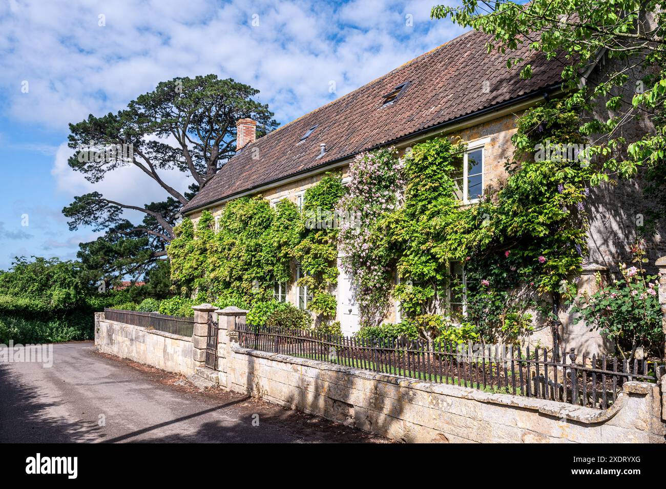 Wisterien und Kletterrosen mit alten Metallgeländern vor dem Somerset-Pfarrhaus aus lokalem Kalkstein aus dem 17. Jahrhundert, Südwestengland, Großbritannien Stockfoto