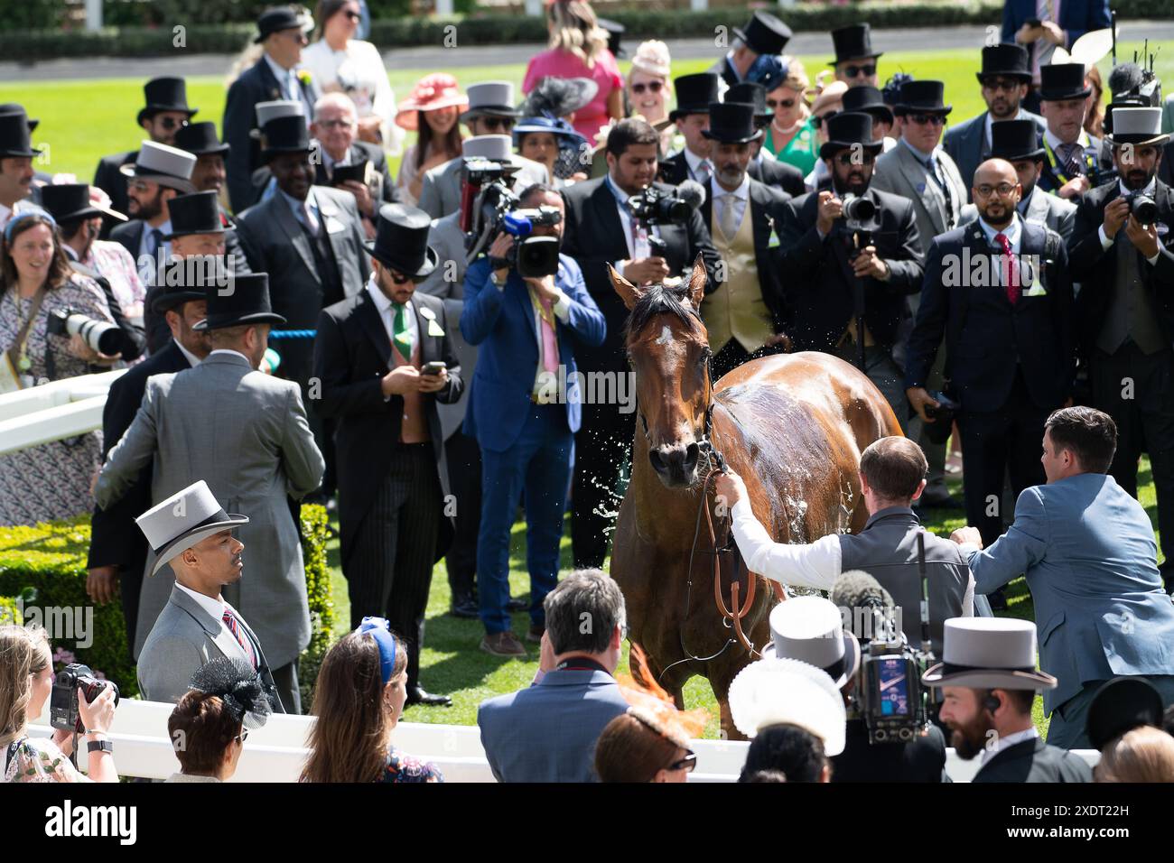 Ascot, Großbritannien. Juni 2024. Die von Jockey Callum Shepherd gerittene Horse Isle of Jura gewann die Hardwicke Stakes auf der Ascot Racecourse in Berkshire am fünften Tag von Royal Ascot. Besitzer Victorious Racing, Trainer George Scott, Newmarket, Züchter Godolphin. Kredit: Maureen McLean/Alamy Stockfoto