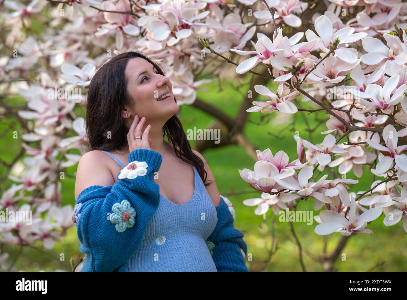 Porträt einer niedlichen schwangeren Frau im Park, gekleidet in einem blauen Kleid zwischen Magnoli-Blumen. Die werdende Mutter schaut zärtlich auf einen blühenden Baum. Stockfoto