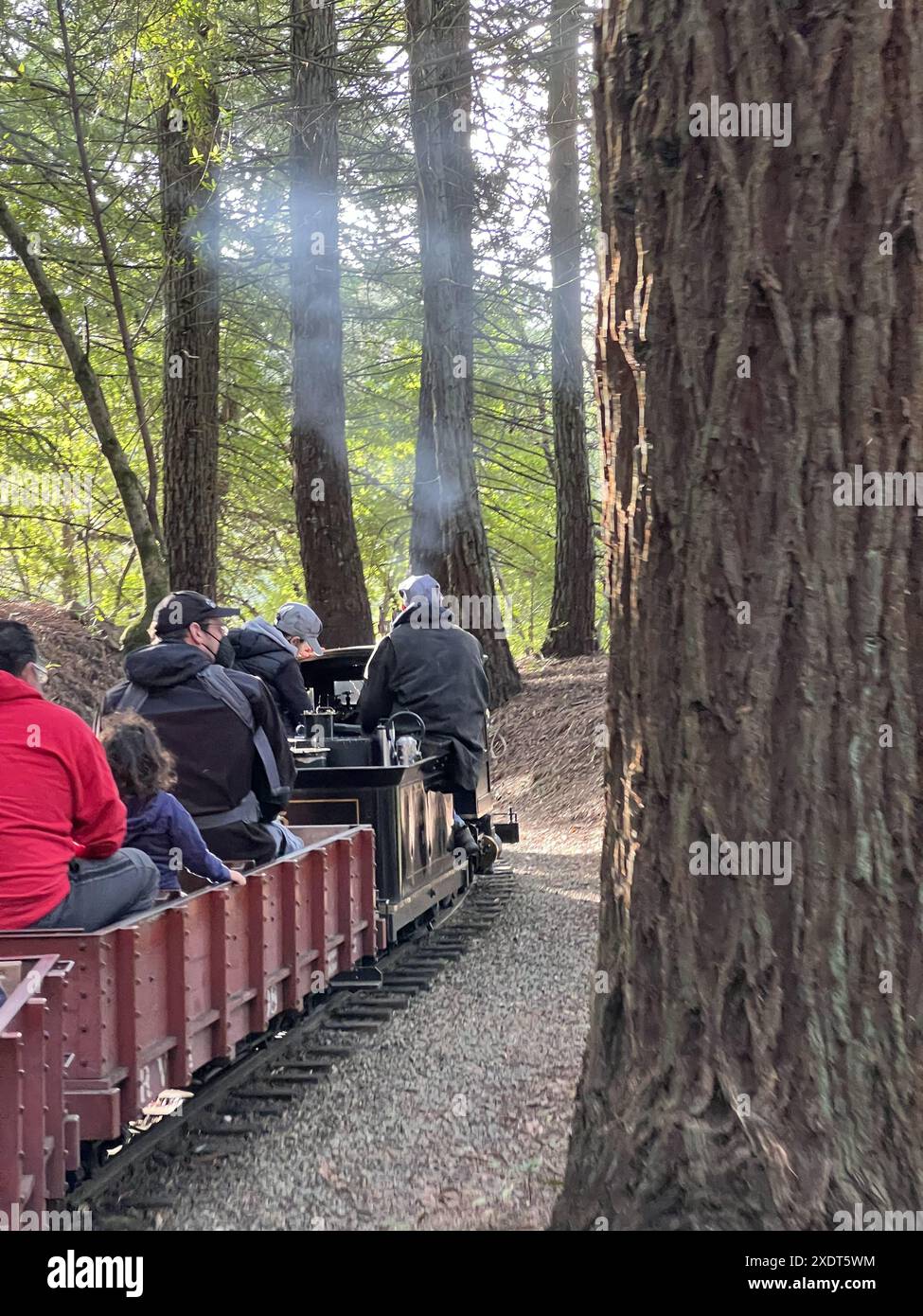 Usa. 15. Januar 2022. Menschen fahren mit einem kleinen Dampfzug auf der Redwood Valley Railroad im Tilden Regional Park, Orinda, Kalifornien, 15. Januar 2022. Foto mit freundlicher Genehmigung von Sftm. (Foto: Gado/Sipa USA) Quelle: SIPA USA/Alamy Live News Stockfoto