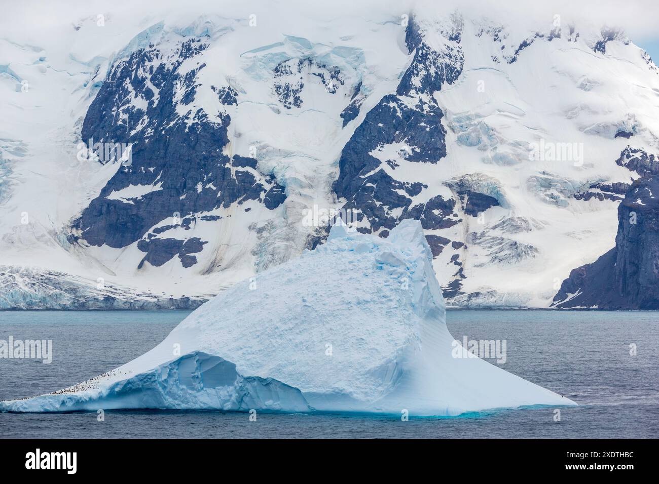 Eisberg vor Livingston Island, South Shetland Islands, Antarktische Halbinsel, Antarktis Stockfoto