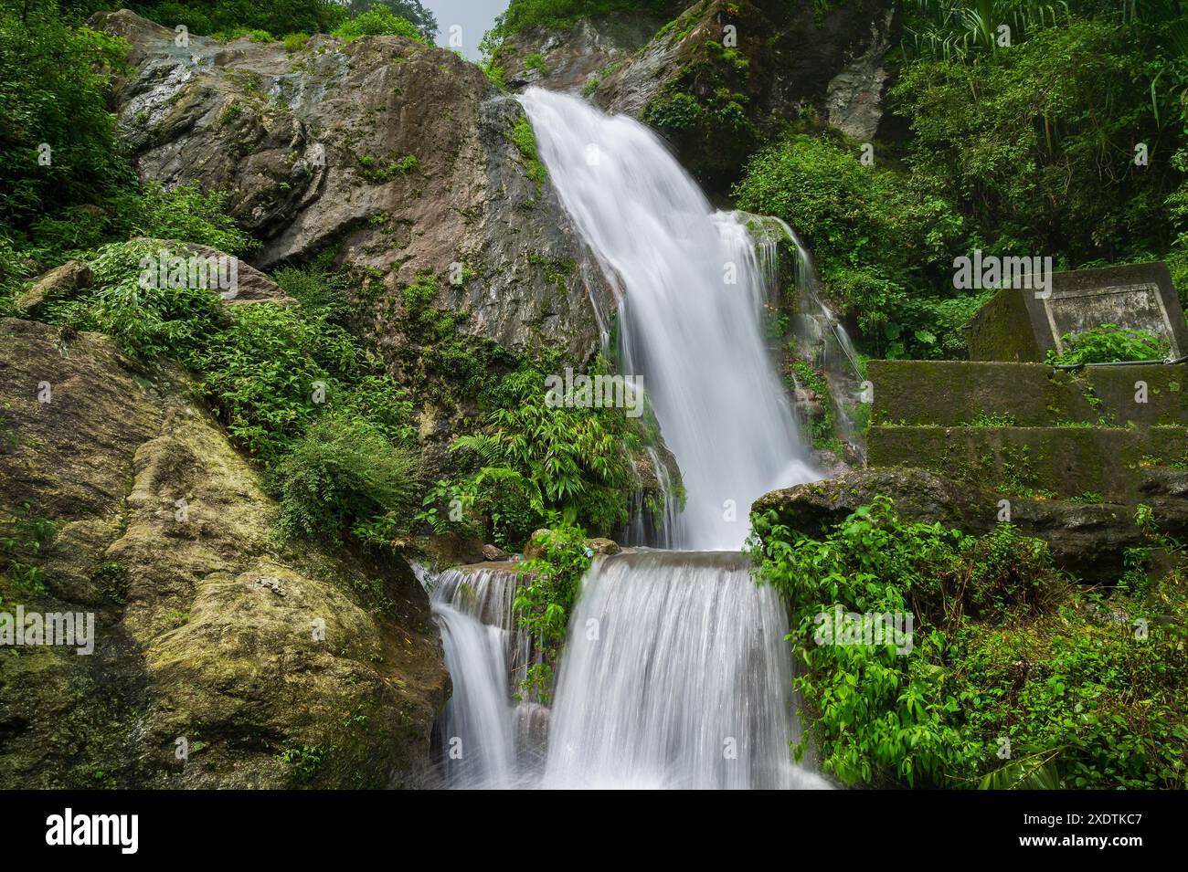 Wunderschöner Paglajhora Wasserfall auf Kurseong, Himalaya-Berge von Darjeeling, Westbengalen, Indien. Ursprung des Mahananda River, der durch Mahananda fließt Stockfoto