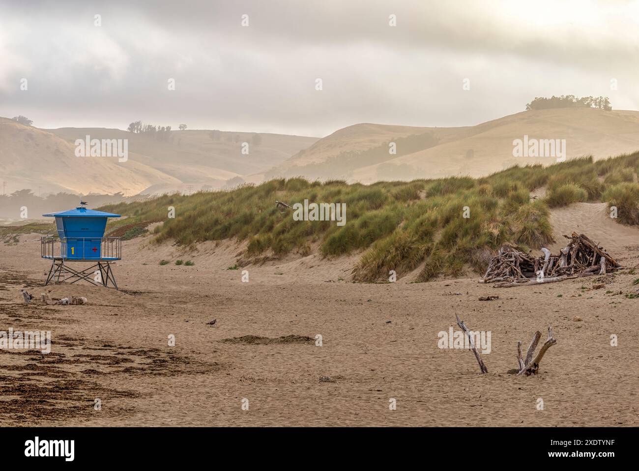 Von Morro Rock Beach. Morro Bay, Kalifornien. Stockfoto