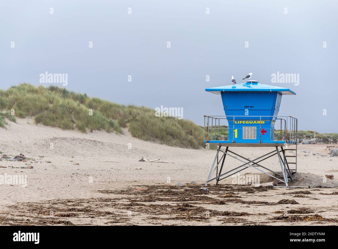 Von Morro Rock Beach. Morro Bay, Kalifornien. Stockfoto