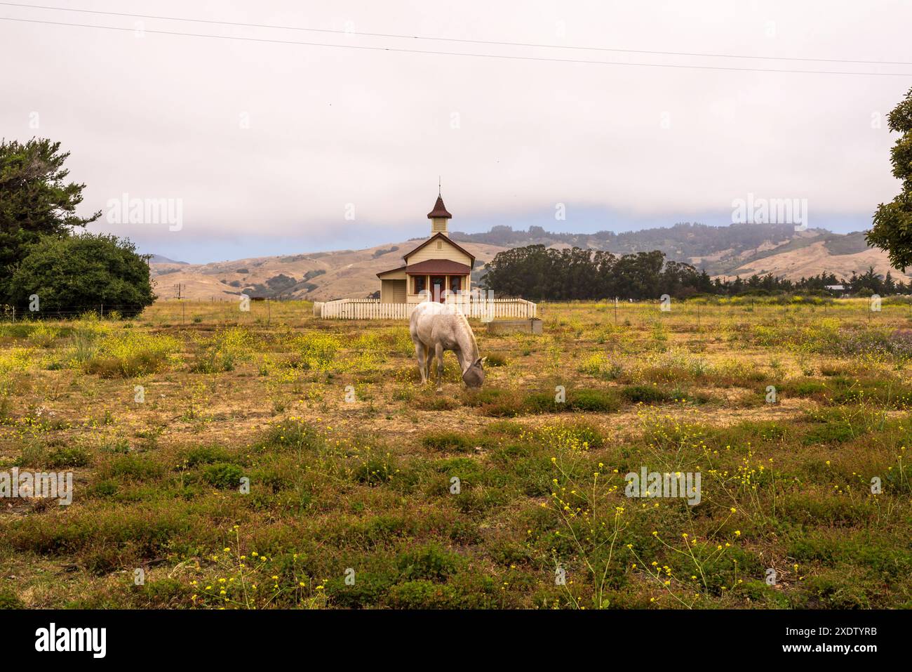 Kirche in San Simeon, Kalifornien, mit Pferden, die auf einem Feld weiden. Stockfoto