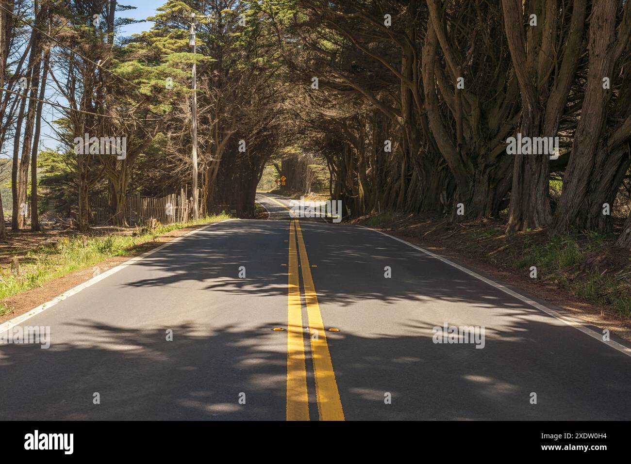 Landschaft entlang des Highway 1 nördlich von Fort Bragg im Mendocino County, Kalifornien. Stockfoto