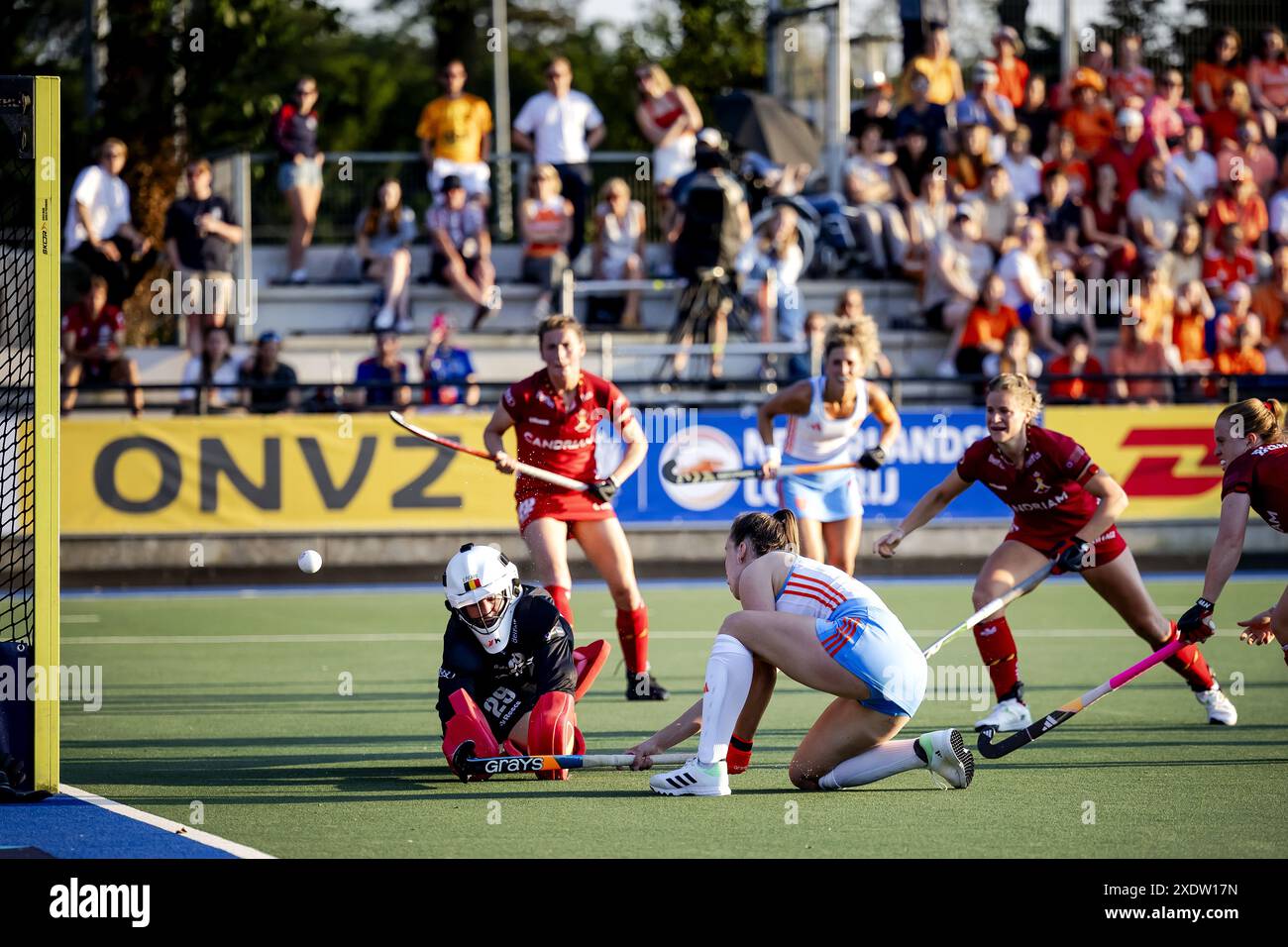 UTRECHT - Fay van der Elst (m) aus den Niederlanden erzielte das 1-0 gegen Torhüter Elodie Picard (l) aus Belgien während des Gruppenspiels der FIH Pro League. ANP ROBIN VAN LONKHUIJSEN Stockfoto