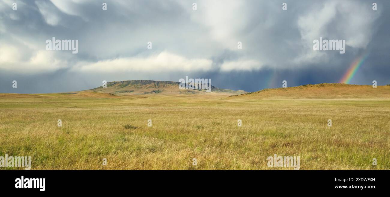 Panorama des Quadrats butte und eines Regenbogens bei einem Sommerregen über der Prärie bei ulm, montana Stockfoto