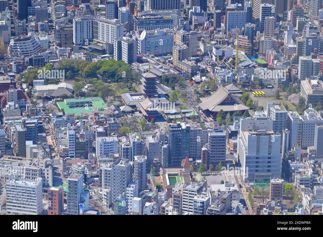 Das malerische Viertel des Sensoji-Tempels in Asakusa während der Kirschblüten-Saison, Tokyo JP (Aerial) Stockfoto