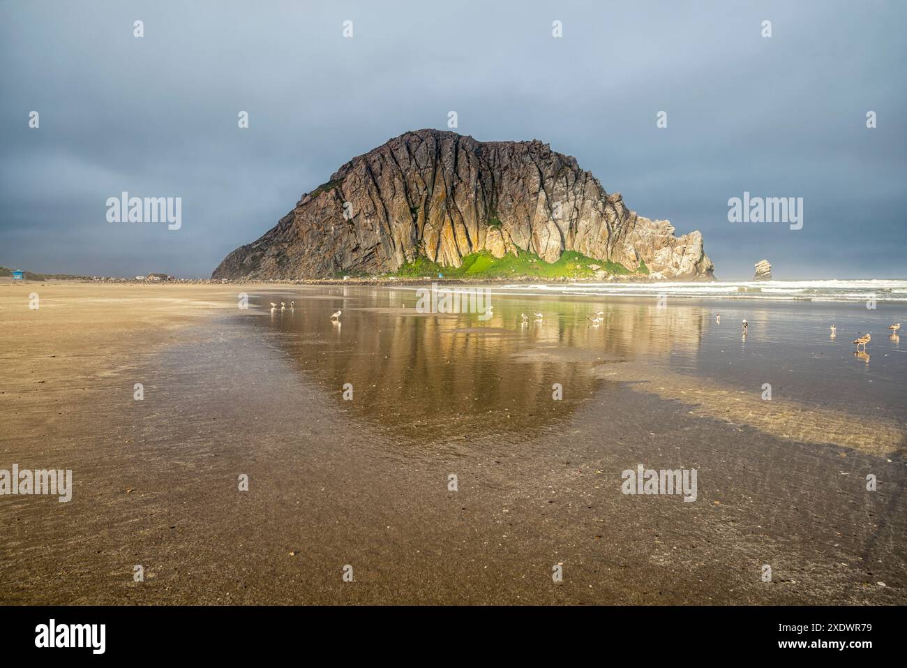 Aus Morro Rock Beach. Morro Bay, Kalifornien. Stockfoto