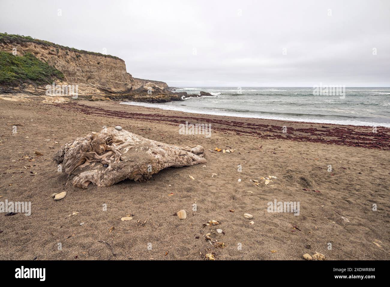 Malerischer Blick auf die Küste vom Spooner's Cove Beach im Montaña de Oro State Park. Stockfoto