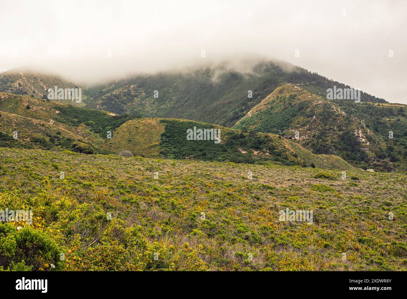 Niedrige Wolken über den Bergen im Montaña de Oro State Park. Stockfoto
