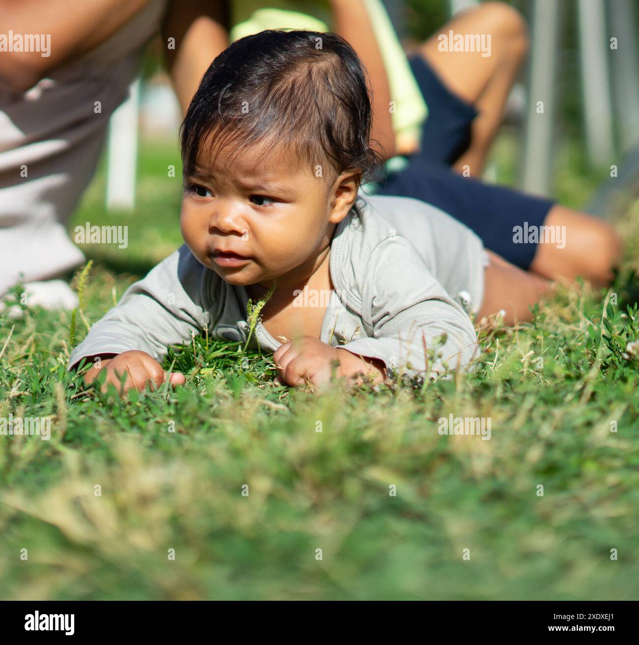 6 Monate altes lateinisches Baby liegt mit dem Gesicht nach unten auf dem Gras in einem Park im Freien Stockfoto